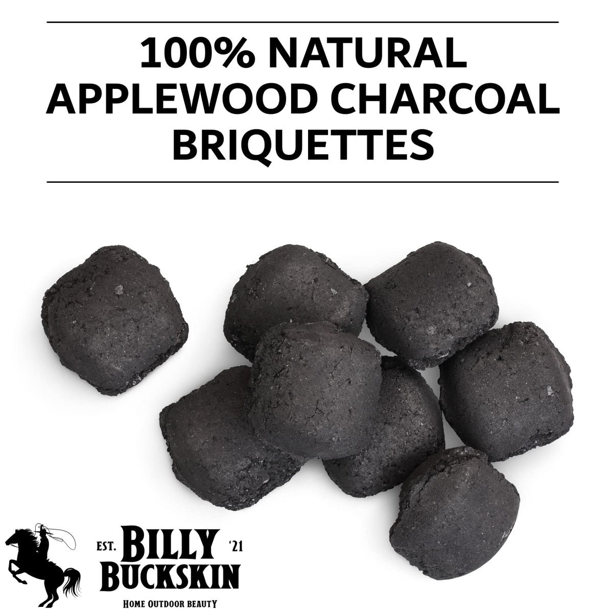 Oak & Applewood Charcoal Briquettes 6.5 Lb J91974